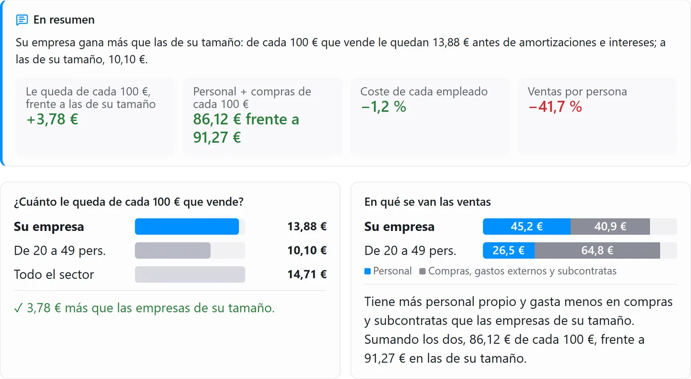 Mercado: la empresa frente a las de su sector y tamaño, con datos del INE